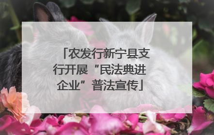 农发行新宁县支行开展“民法典进企业”普法宣传