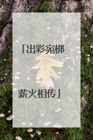 出彩宛梆 薪火相传