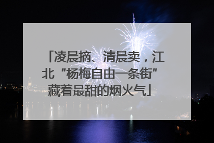 凌晨摘、清晨卖，江北“杨梅自由一条街”藏着最甜的烟火气