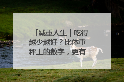 减重人生｜吃得越少越好？比体重秤上的数字，更有意义的是什么？