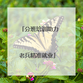 分班培训助力老兵精准就业