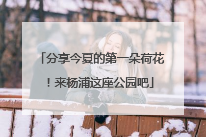 分享今夏的第一朵荷花！来杨浦这座公园吧