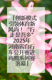 创新模式引领体育新风尚！“行走是吾乡”2025年河南省自行车公开赛进商圈系列赛落幕
