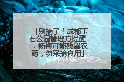 别摘了！成都玉石公园管理方提醒：杨梅可能残留农药，勿采摘食用