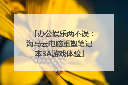 办公娱乐两不误：海马云电脑重塑笔记本3A游戏体验