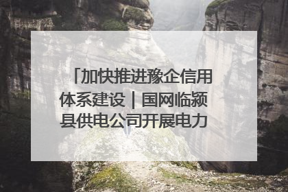 加快推进豫企信用体系建设｜国网临颍县供电公司开展电力行业信用企业现场咨询访谈工作