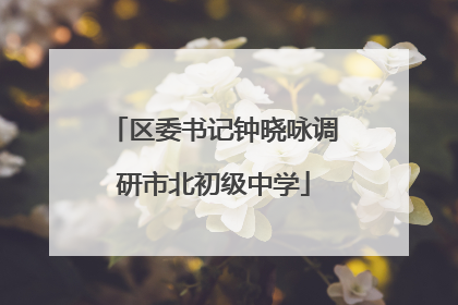 区委书记钟晓咏调研市北初级中学