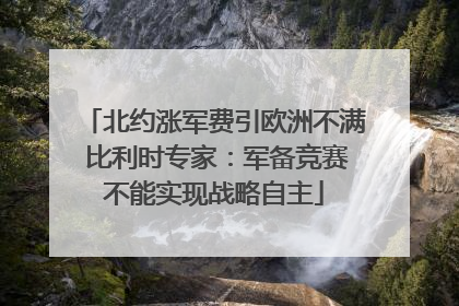 北约涨军费引欧洲不满 比利时专家：军备竞赛不能实现战略自主