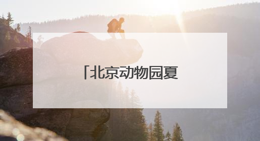 北京动物园夏日菜单丨动物食堂上新啦！