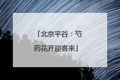 北京平谷：芍药花开迎客来