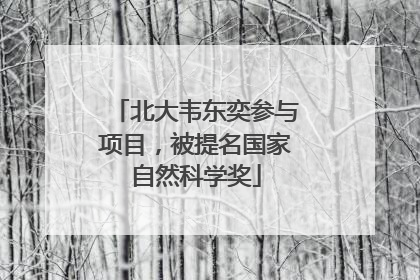 北大韦东奕参与项目，被提名国家自然科学奖