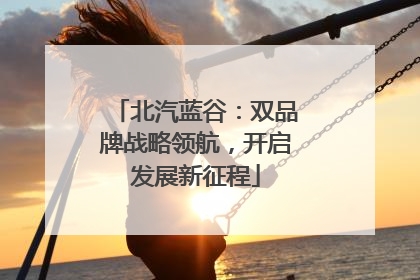 北汽蓝谷：双品牌战略领航，开启发展新征程