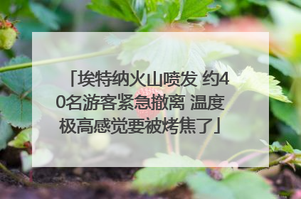 埃特纳火山喷发 约40名游客紧急撤离 温度极高感觉要被烤焦了
