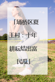 埇桥区夏王村：十年耕耘结出富民瓜