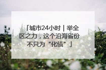 城市24小时｜举全区之力，这个沿海省份不只为“化债”