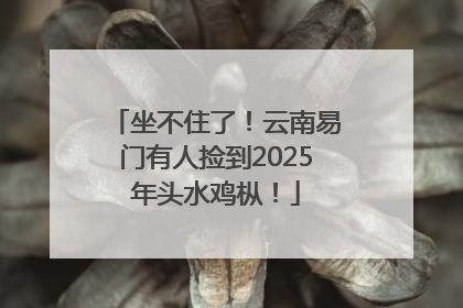 坐不住了！云南易门有人捡到2025年头水鸡枞！