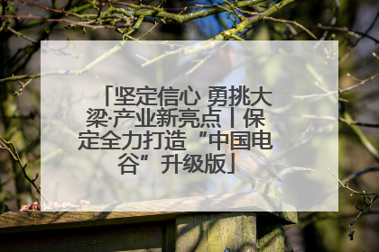 坚定信心 勇挑大梁·产业新亮点丨保定全力打造“中国电谷”升级版