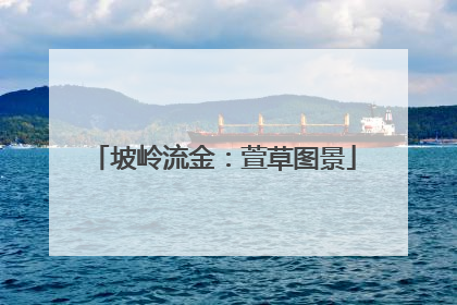 坡岭流金：萱草图景