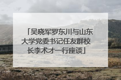 吴晓军罗东川与山东大学党委书记任友群校长李术才一行座谈