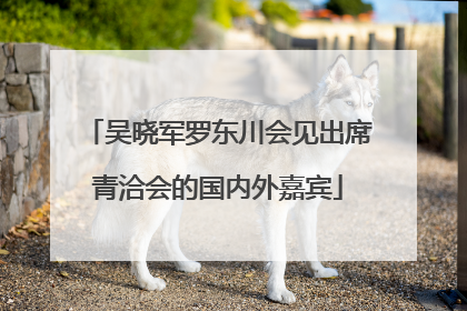 吴晓军罗东川会见出席青洽会的国内外嘉宾