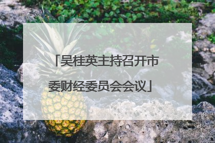 吴桂英主持召开市委财经委员会会议