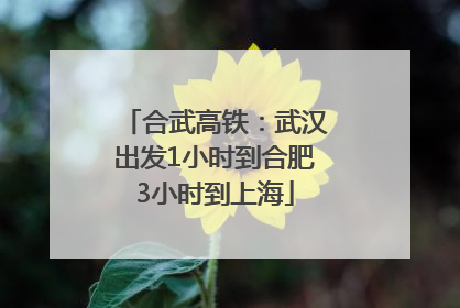 合武高铁：武汉出发1小时到合肥3小时到上海