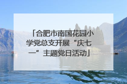 合肥市南国花园小学党总支开展“庆七一”主题党日活动