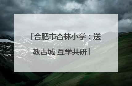 合肥市杏林小学：送教古城 互学共研