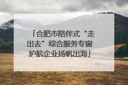 合肥市陪伴式“走出去”综合服务专窗护航企业扬帆出海