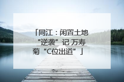 同江：闲置土地“逆袭”记 万寿菊“C位出道”