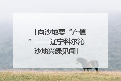 向沙地要“产值”——辽宁科尔沁沙地兴绿见闻
