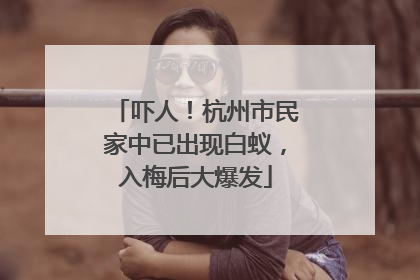 吓人！杭州市民家中已出现白蚁，入梅后大爆发