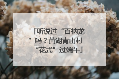 听说过“百衲龙”吗？黄湖青山村“花式”过端午