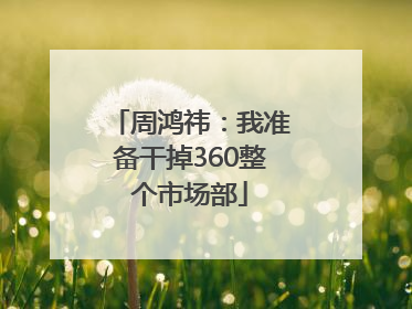 周鸿祎：我准备干掉360整个市场部
