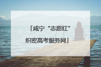 咸宁“志愿红”织密高考服务网