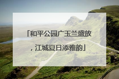 和平公园广玉兰盛放，江城夏日添雅韵