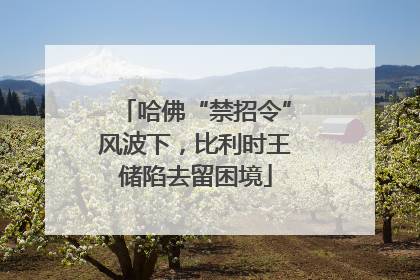 哈佛“禁招令”风波下，比利时王储陷去留困境
