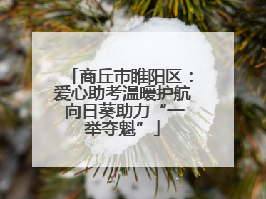 商丘市睢阳区：爱心助考温暖护航 向日葵助力“一举夺魁”