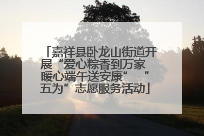 嘉祥县卧龙山街道开展“爱心粽香到万家 暖心端午送安康” “五为”志愿服务活动