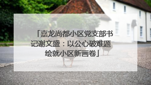嘉龙尚都小区党支部书记谢文盛：以公心破难题 绘就小区新画卷