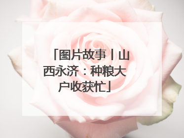 图片故事丨山西永济：种粮大户收获忙