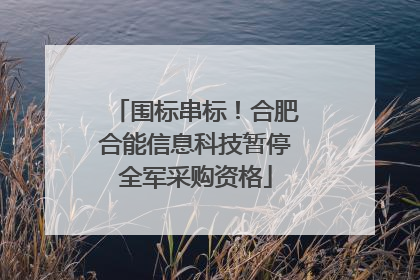 围标串标！合肥合能信息科技暂停全军采购资格