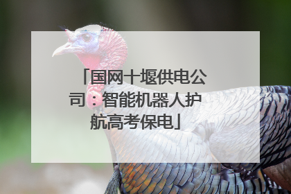 国网十堰供电公司：智能机器人护航高考保电