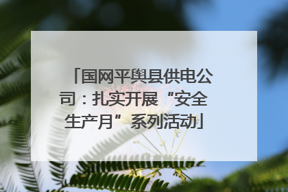 国网平舆县供电公司：扎实开展“安全生产月”系列活动