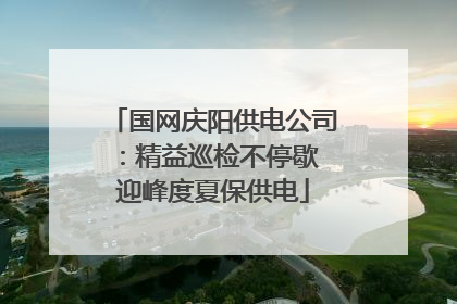国网庆阳供电公司：精益巡检不停歇 迎峰度夏保供电