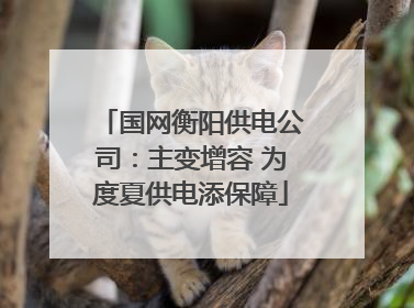 国网衡阳供电公司：主变增容 为度夏供电添保障