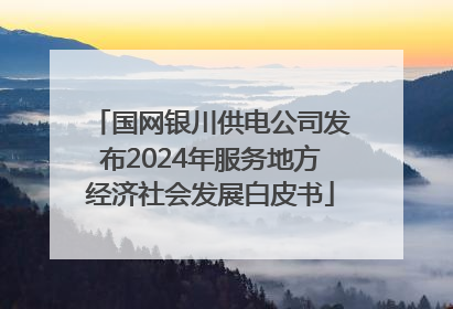 国网银川供电公司发布2024年服务地方经济社会发展白皮书
