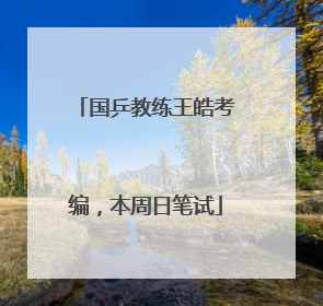 国乒教练王皓考编，本周日笔试