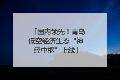 国内领先！青岛低空经济生态“神经中枢”上线