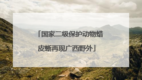 国家二级保护动物蜡皮蜥再现广西野外